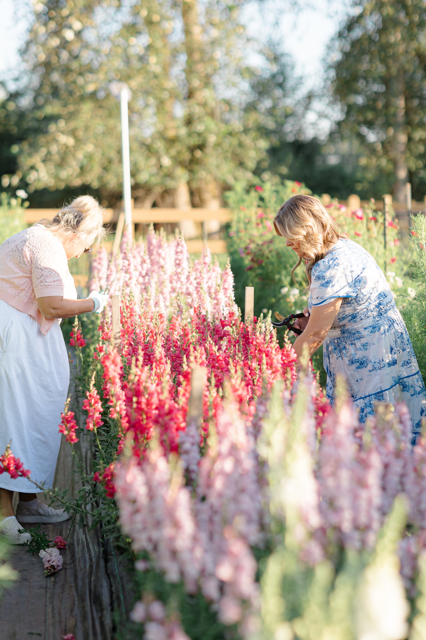 Flower Frolic