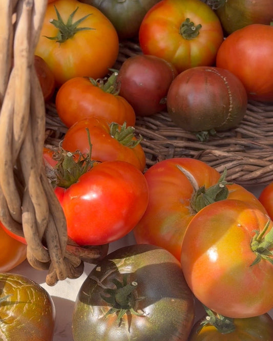 Heirloom Tomatoes