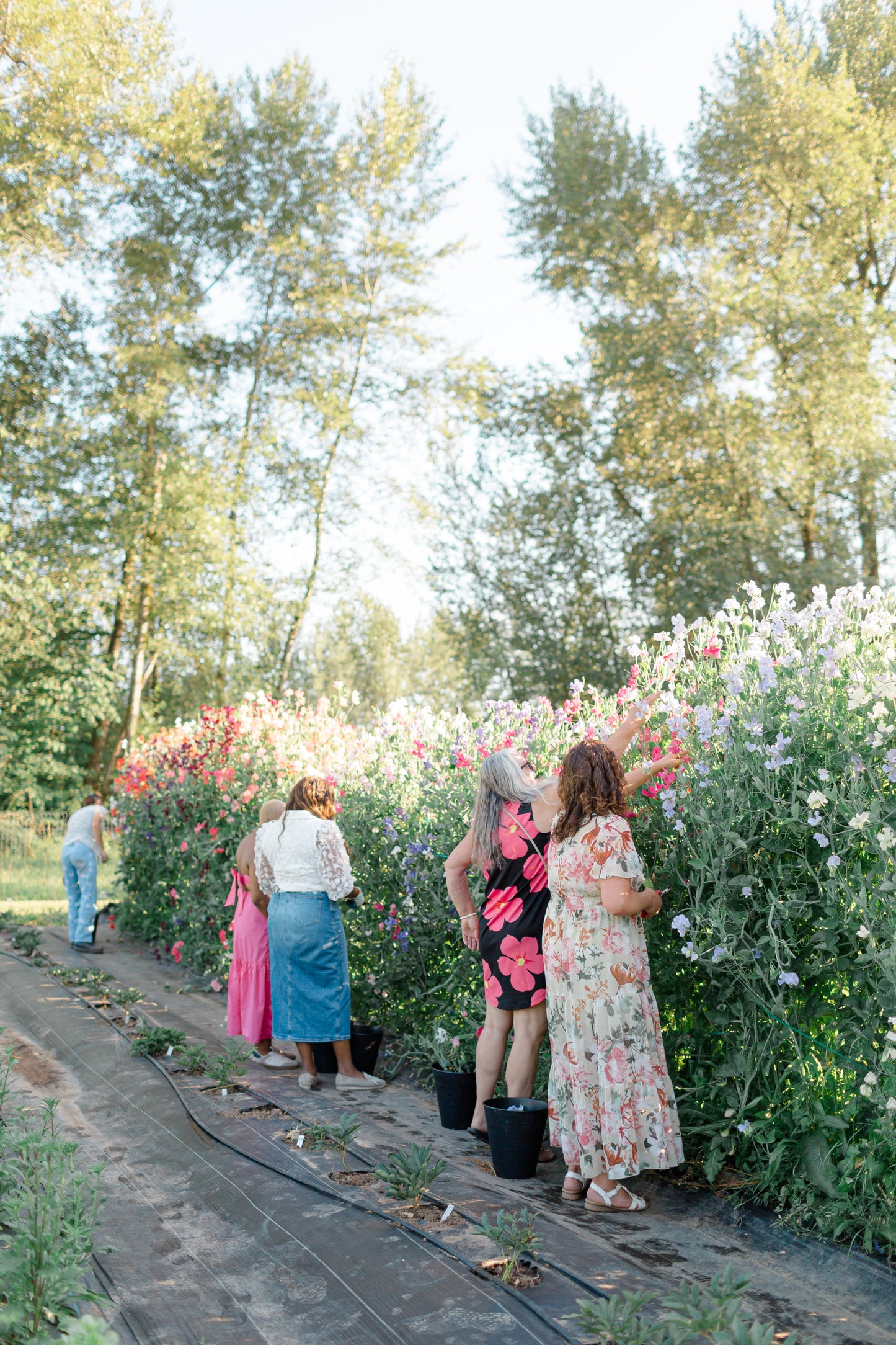 Flower Frolic