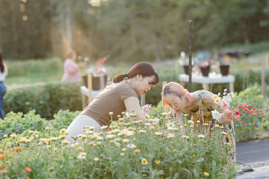 Flower Frolics