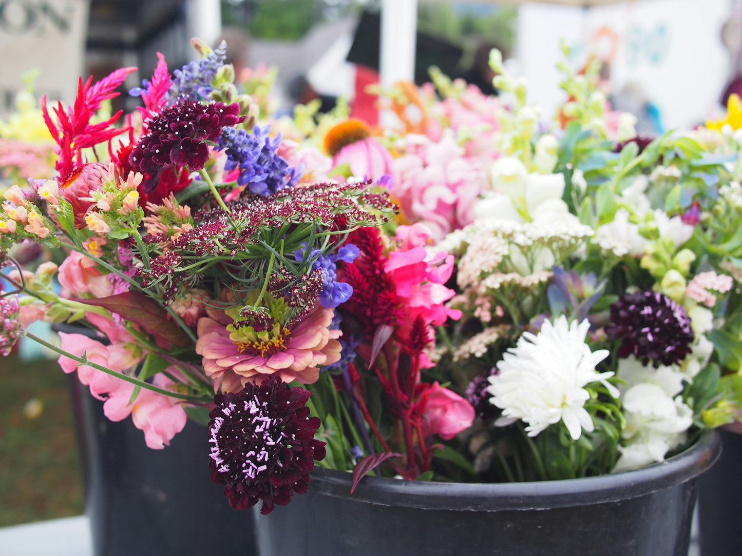 Bloom Bucket