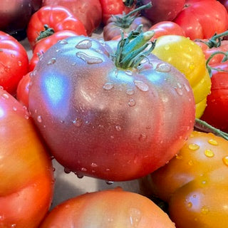 Heirloom Tomatoes